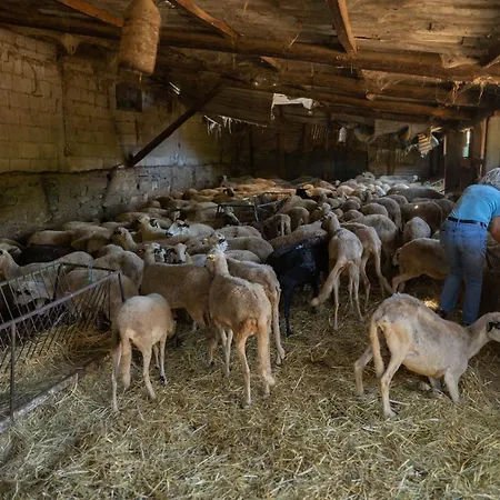 Montesinho Eco-resort *