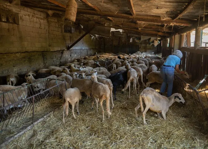 Montesinho Eco-resort *